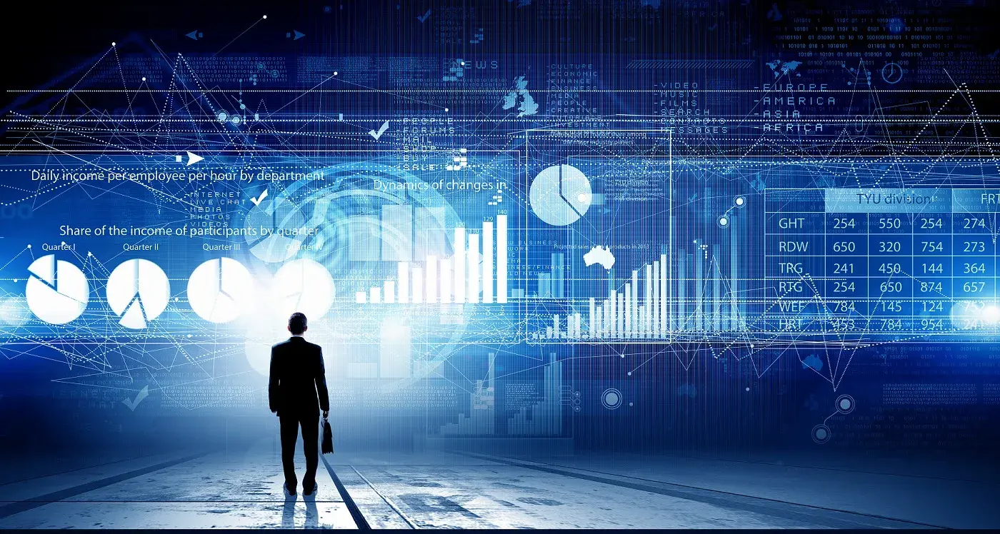 NetSuite customization